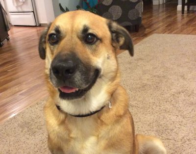 Cozy room and full bath