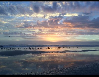 Cozy room and full bath