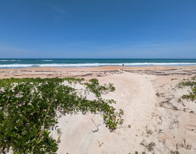 Ormond by the Sea (Beachfront)